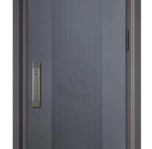 Korean Style Door Simple Luxury Type